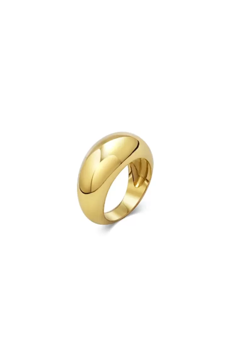 Store Faithfull the Brand Oli Ring Gold
